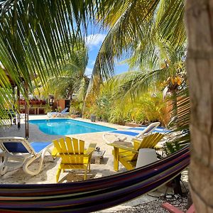 Oasis Guesthouse, Boutique Style Hotel